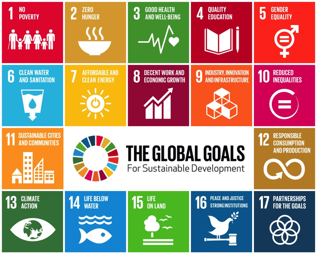 THE GLOBAL GOALS For Sustainable Development