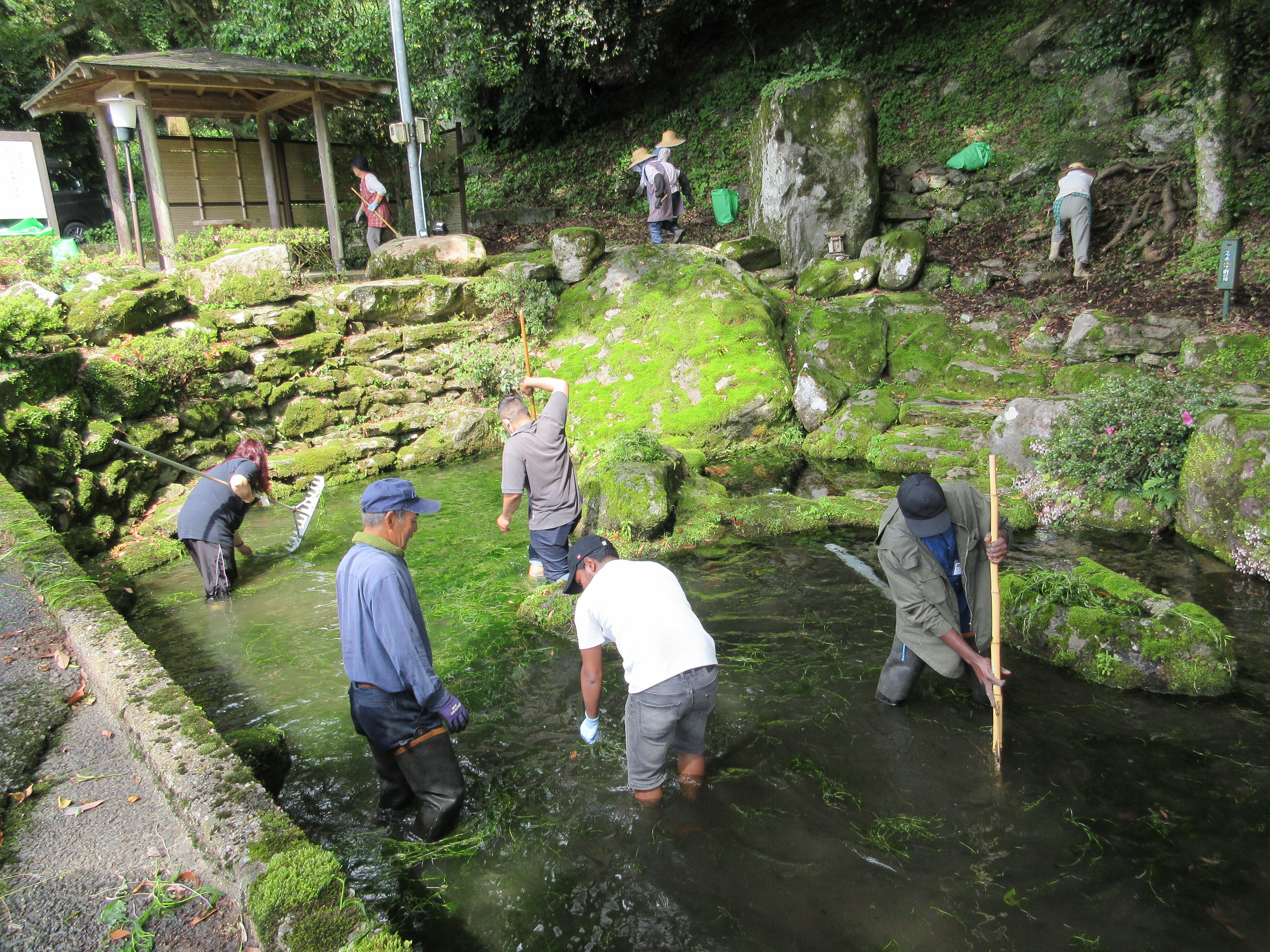 写真「水源の池の清掃」.JPG