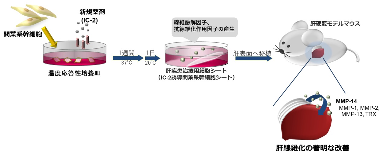 図6