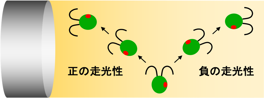 図2