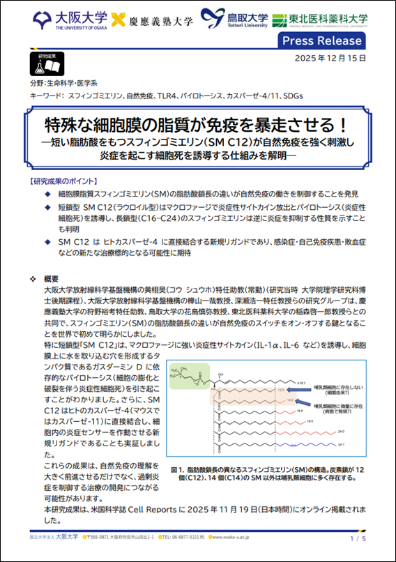 サムネイル.png