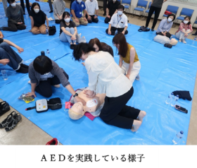 aed_5.png