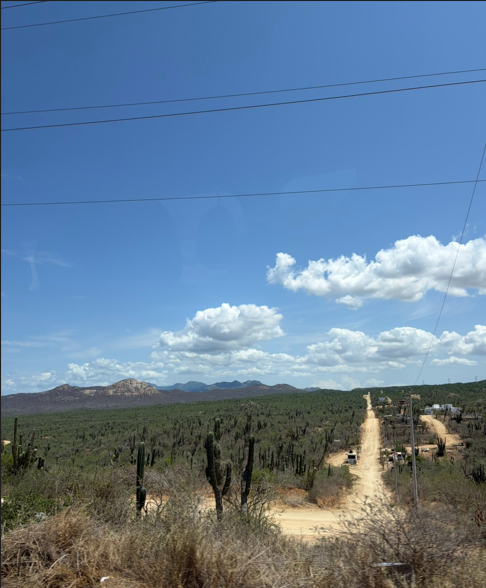 3.メキシコの風景写真.png